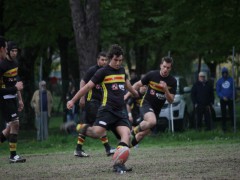 pesarorugby