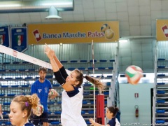 volleypesaro-salvia