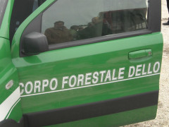 Corpo Forestale dello Stato