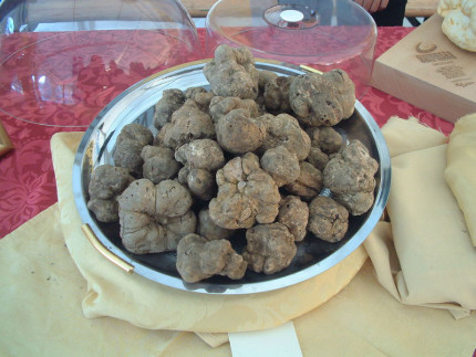 tartufo