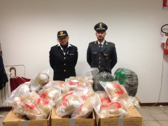 Sequestro di marijuana ad Ancona