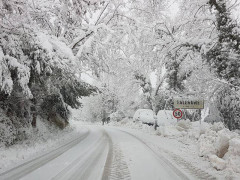 Neve a Falerone