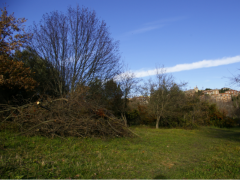 Fontescodella di Macerata