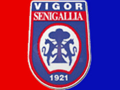 Stemma Vigor Senigallia