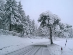 Neve sulle strade di Montefortino