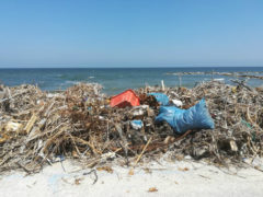 degrado sulla spiaggia di Montemarciano