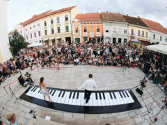 Arte in strada al Veregra Street Festival di Montegranaro