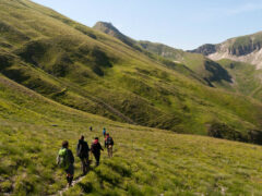 “Le Marche in cammino”