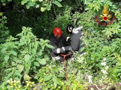 Cane recuperato a Castelbellino