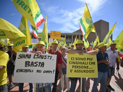 Manifestazione sui cinghiali ad Ancona