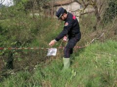 Carabinieri Forestali a Sassoferrato