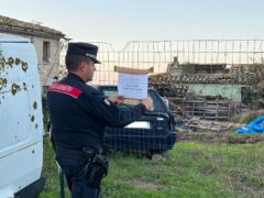 Area sequestrata a Montecarotto dai Carabinieri Forestali