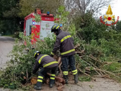 Vigili del Fuoco impegnati dopo i danni per il forte vento