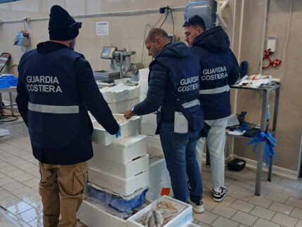 Controlli della Guardia Costiera presso un grossista di pesce